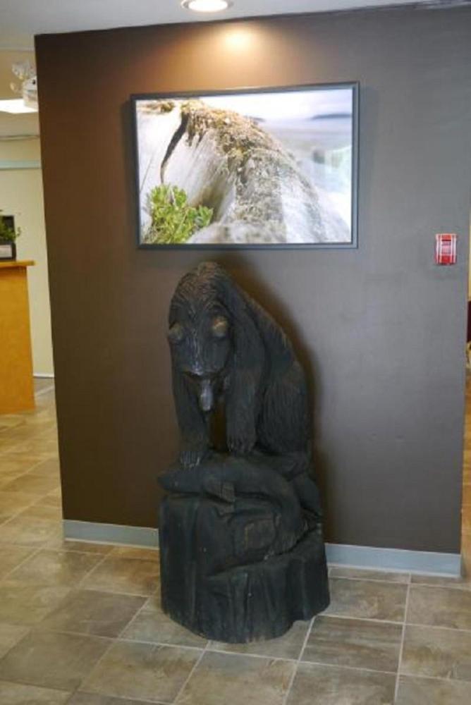 Airport Inn Port Hardy Bagian luar foto